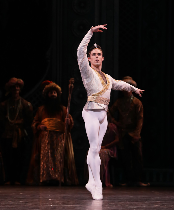 Photo Flash: Houston Ballet Caps Season with Stanton Welch's LA BAYADERE Image