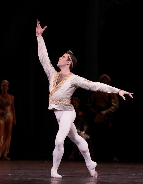Photo Flash: Houston Ballet Caps Season with Stanton Welch's LA BAYADERE Image
