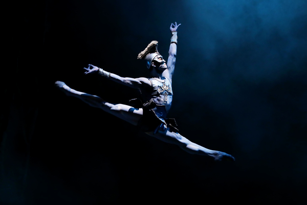 Photo Flash: Houston Ballet Caps Season with Stanton Welch's LA BAYADERE Image
