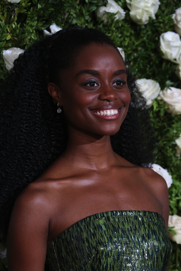 Photo Coverage: 2017 Tony Award Red Carpet Arrivals- Part 5 Image