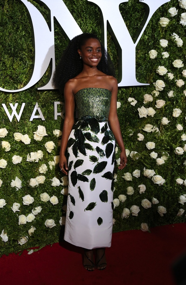 Photo Coverage: 2017 Tony Award Red Carpet Arrivals- Part 4 Image