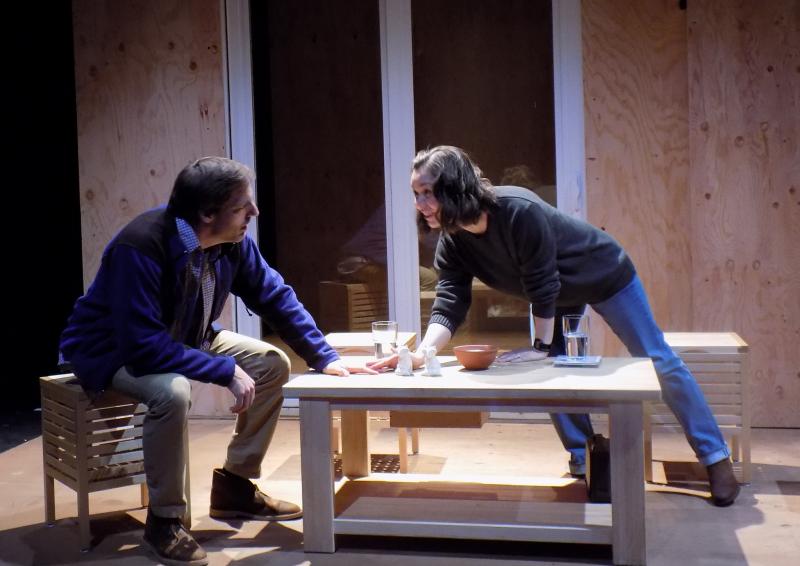 Review: New Century's THE REALISTIC JONESES is Clever but Unsatisfying Image