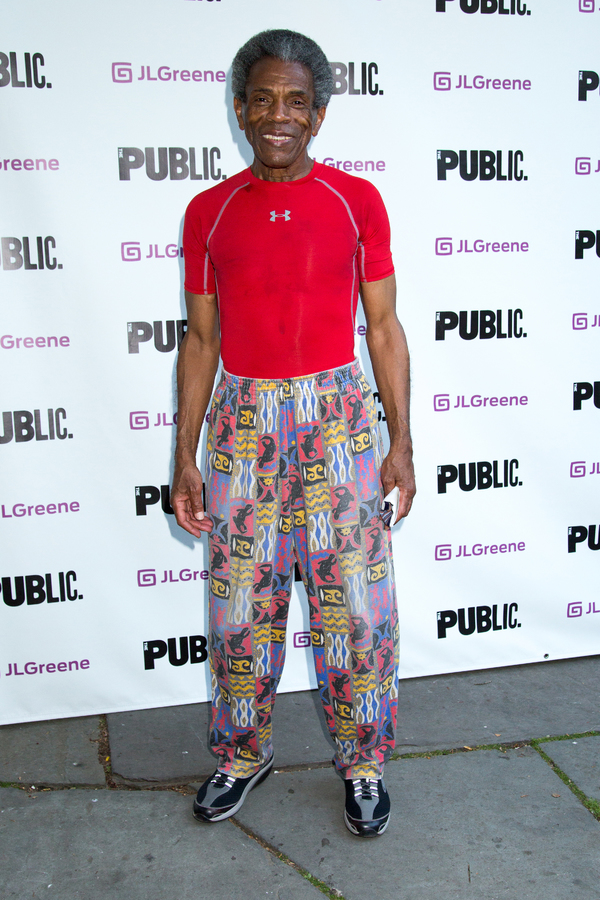 Photo Coverage: On the Opening Night Red Carpet for JULIUS CAESAR in the Park! Image