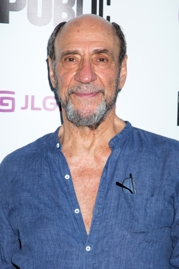 Photo Coverage: On the Opening Night Red Carpet for JULIUS CAESAR in the Park! Image