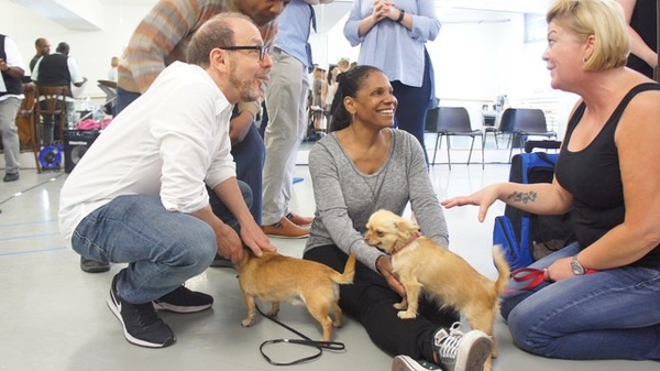 Photo Flash: Audra McDonald Auditions Pooches for 'LADY DAY' Companion in London Image