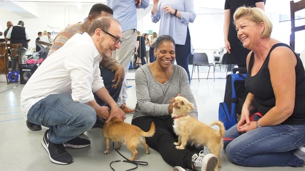 Photo Flash: Audra McDonald Auditions Pooches for 'LADY DAY' Companion in London Image