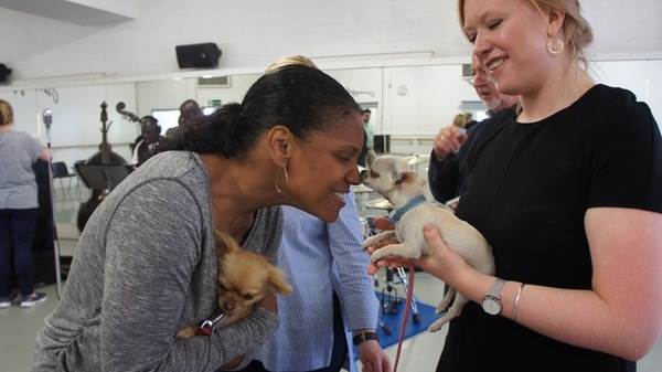 Photo Flash: Audra McDonald Auditions Pooches for 'LADY DAY' Companion in London Image