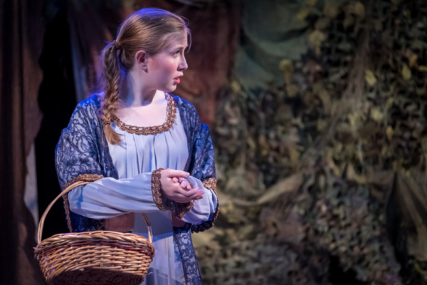 Photo Flash: First Look at Young Shakespeare's AS YOU LIKE IT, Opening Tonight!  Image