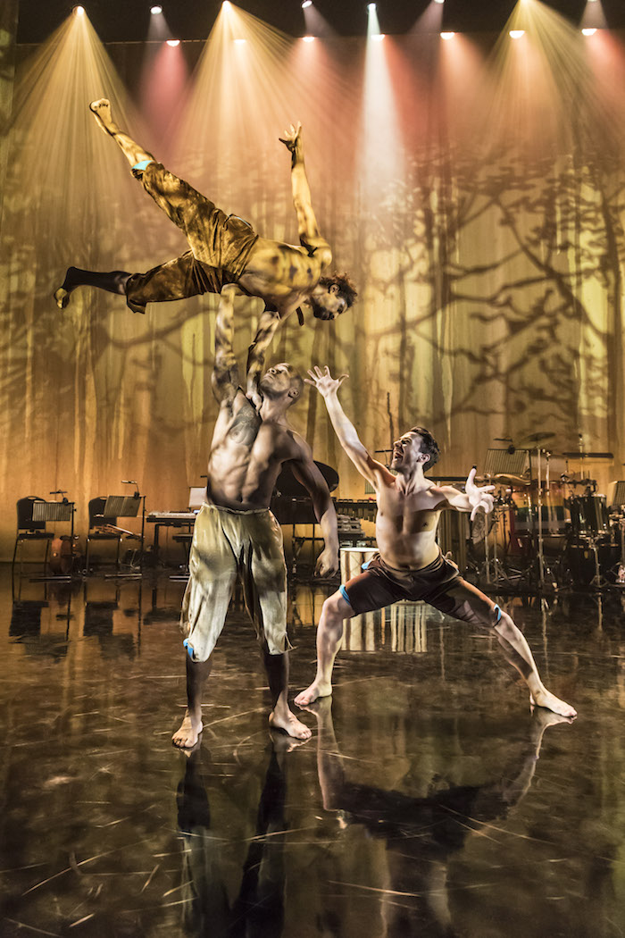 BWW Interview: Ella Spira and Pietra Mello-Pittman Talk VOICES OF THE AMAZON BWW Interview: Ella Spira and Pietra Mello-Pittman Talk VOICES OF THE AMAZON