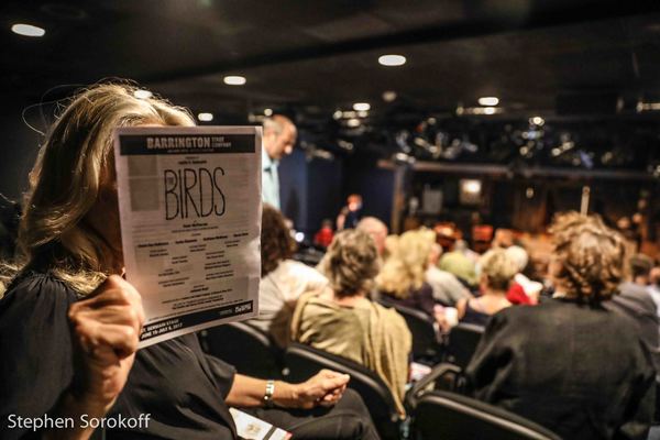 Photo Coverage: Barrington Stage Company Celebrates Opening Night of THE BIRDS 