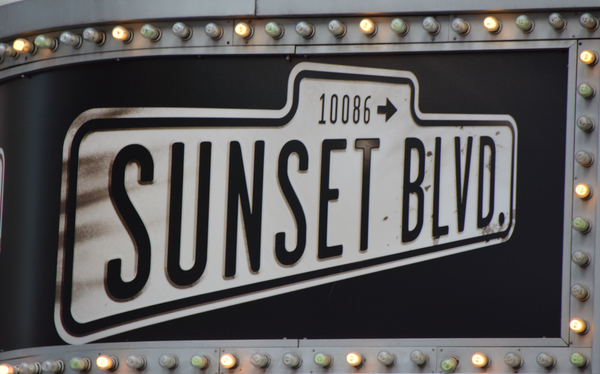 Photo Coverage: Glenn Close Takes Final Curtain Call as SUNSET BOULEVARD Closes on Broadway 