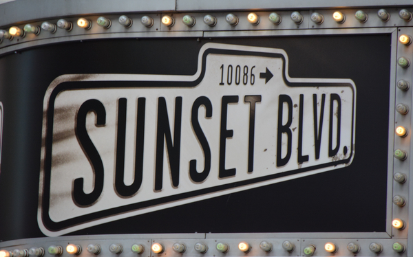 Photo Coverage: Glenn Close Takes Final Curtain Call as SUNSET BOULEVARD Closes on Broadway Image
