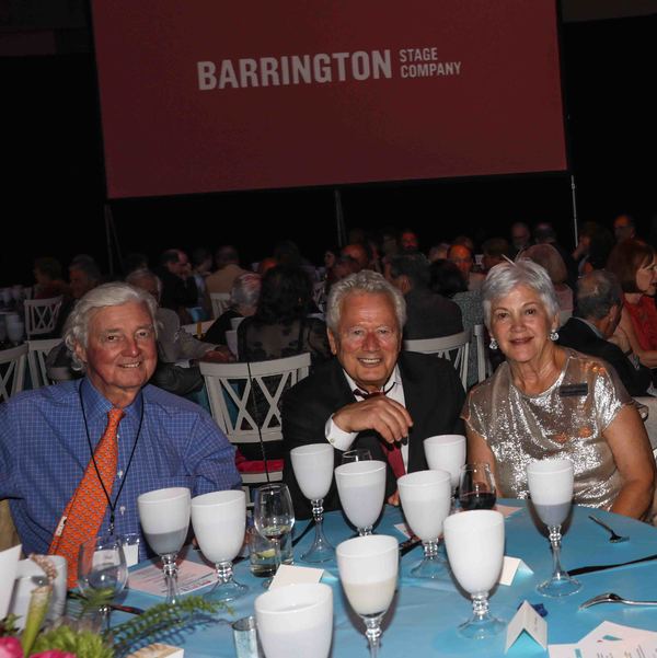 Photo Coverage: Jay Armstrong Johnson Headlines Barrington Stage Gala Image