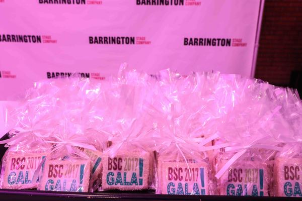 Photo Coverage: Jay Armstrong Johnson Headlines Barrington Stage Gala 