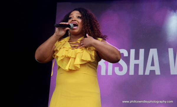 Photo Flash: Marisha Wallace and John Owen Jones Bring Experience and Expression to WEST END LIVE 2017 Image