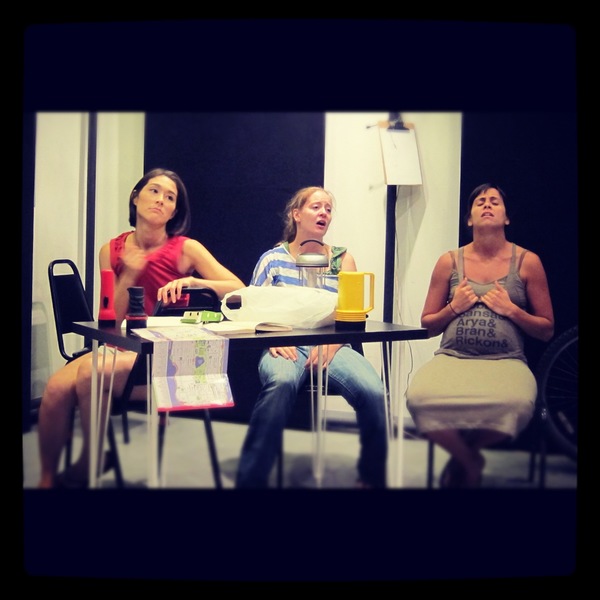 Photo Flash: Get a Sneak Peek at the 2017 Ice Factory Festival, Now Running at New Ohio Theatre Image