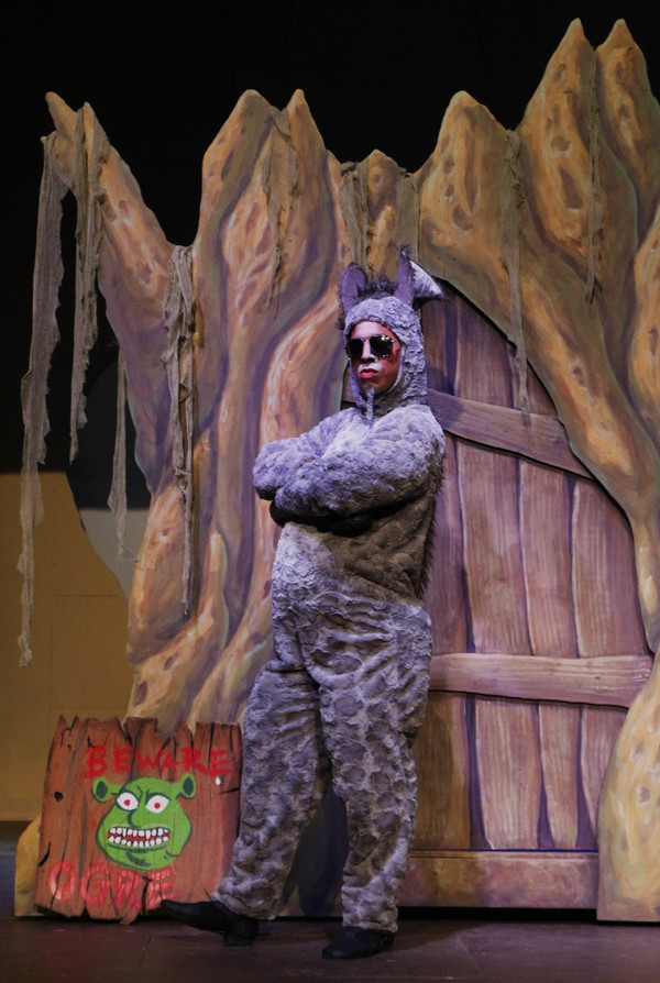 BWW Mini Blog: Woodlawn Theatre - The View From Fiona's Tower: Final Entry Image