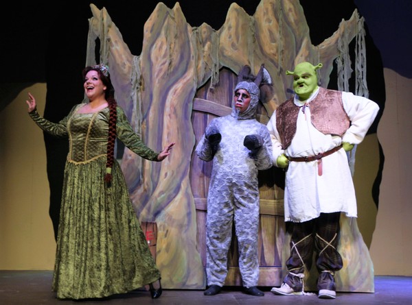 BWW Mini Blog: Woodlawn Theatre - The View From Fiona's Tower: Final Entry Image