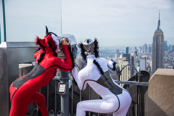 Photo Flash: Colorful Insects of Cirque's OVO Visit Top of the Rock Image