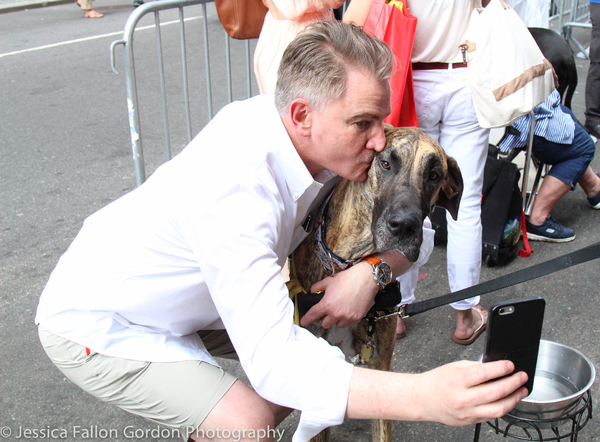 Photo Coverage: Stars of COME FROM AWAY, ANASTASIA, GROUNDHOG DAY and More Align for BROADWAY BARKS Image