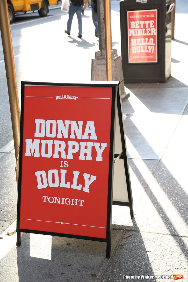 Review Roundup: HELLO (Again), DOLLY! with Donna Murphy Image