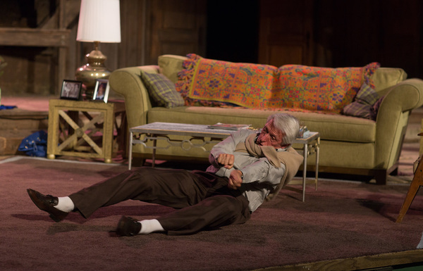 Photo Flash: Members of the Geer Family Star in OTHER DESERT CITIES by Jon Robin Baitz 