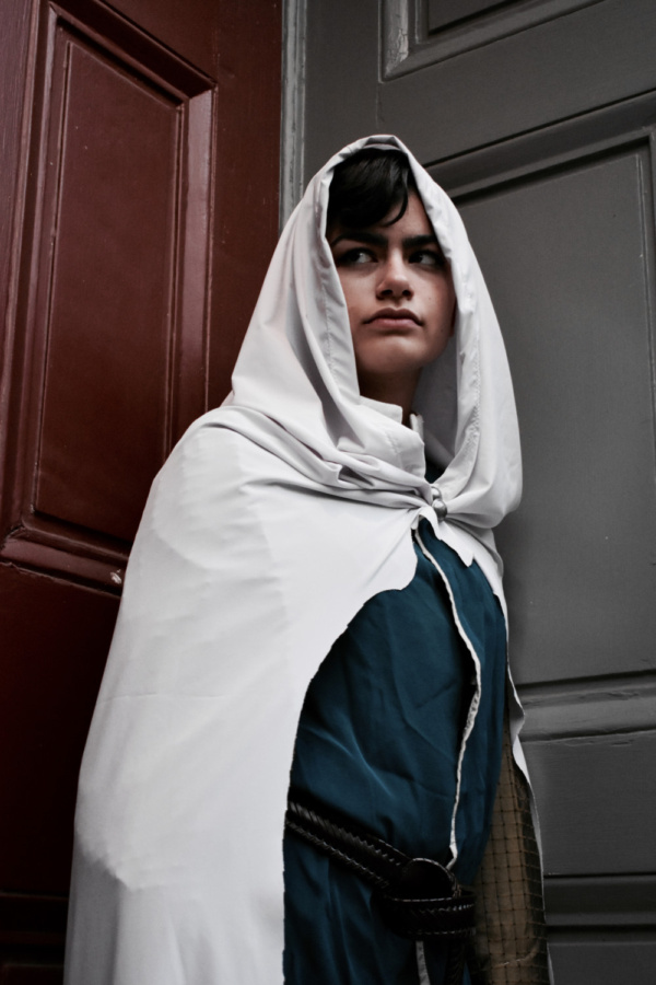 Photo Flash: First Look at Striving Artists Theater Company's THE HENRIAD CYCLE Image