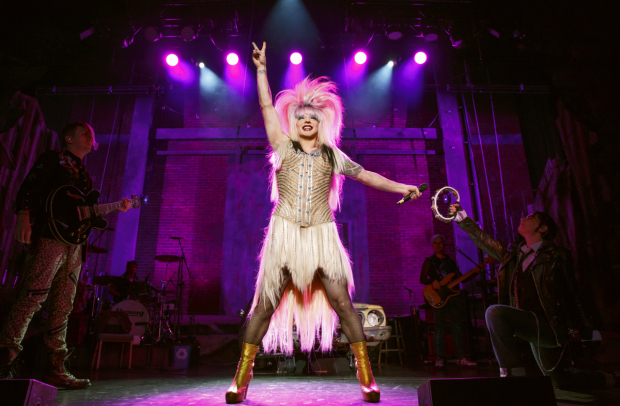 BWW Exclusive: The Life and Times of HEDWIG AND THE ANGRY INCH Image