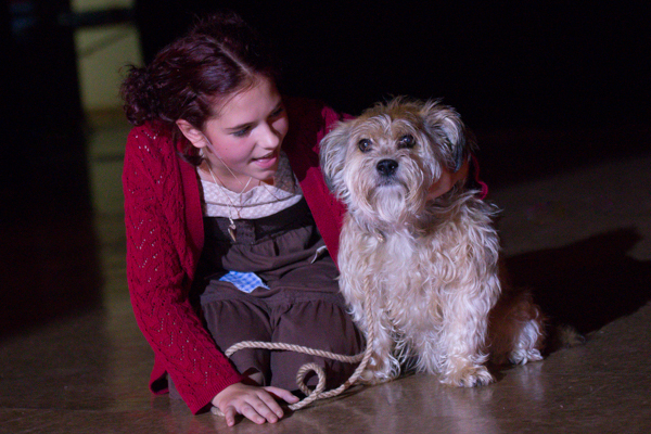 Photo Coverage: First look at Pickerington Community Theatre's ANNIE Image