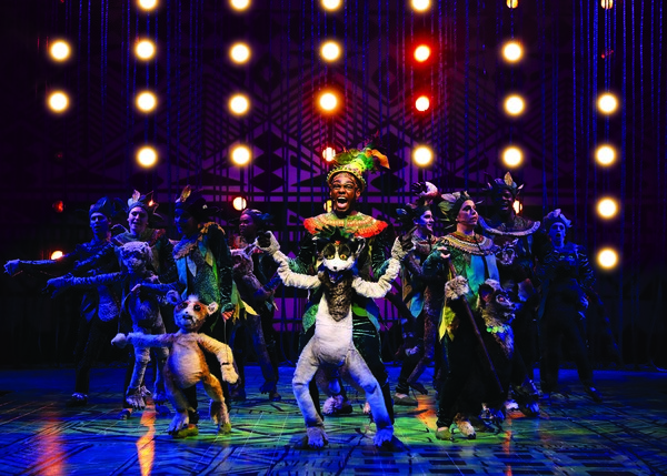 Photo Flash: MADAGASCAR – A Musical Adventure Comes to Chicago Shakespeare Image
