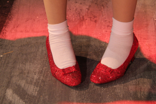 Photo Flash: Summer Orlando Becomes First Male Actor to Play 'Dorothy' in THE WIZARD OF OZ Image