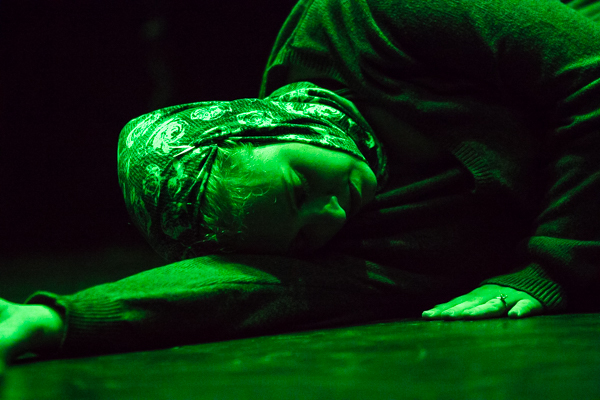 Photo Coverage: First look at New Vision Dance Co.'s TAKING ROOT Image