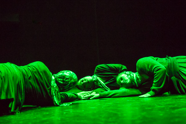 Photo Coverage: First look at New Vision Dance Co.'s TAKING ROOT Image