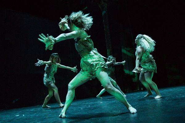 Photo Coverage: First look at New Vision Dance Co.'s TAKING ROOT Image