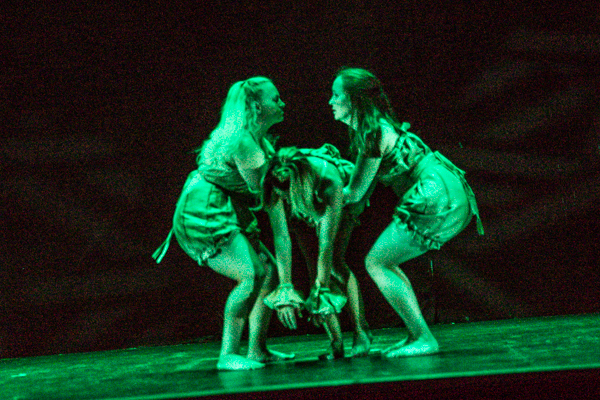 Photo Coverage: First look at New Vision Dance Co.'s TAKING ROOT Image