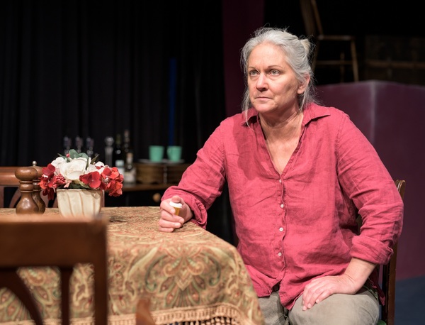 Photo Flash: AUGUST: OSAGE COUNTY Roars Into The City Theatre 