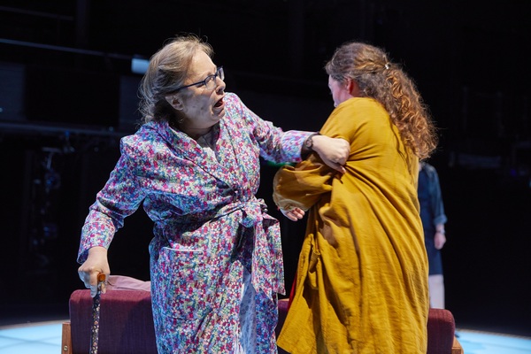 Photo Flash: First Look at MOSQUITOES at the National Theatre Image