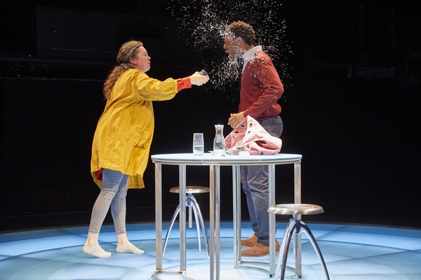 Photo Flash: First Look at MOSQUITOES at the National Theatre Image