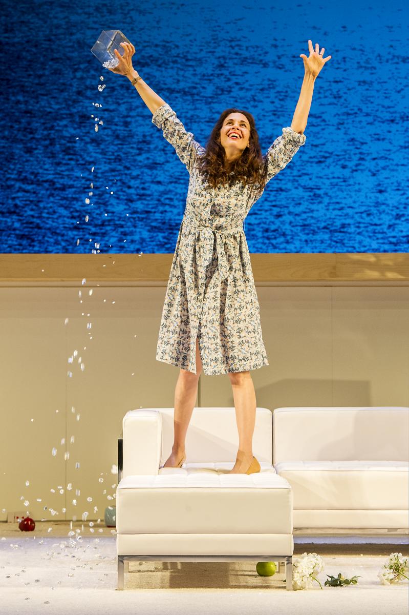 Review: Sarah Ruhl's THE CLEAN HOUSE at Williamstown Theatre Festival Image