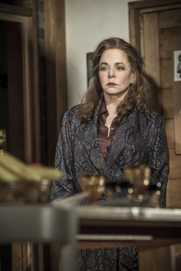 Photo Flash: First Look at Stockard Channing and the Cast of APOLOGIA at Trafalgar Studios Image