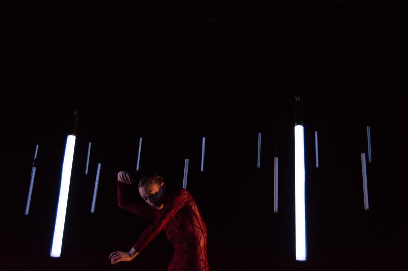Visceral Dance Chicago Announces Fifth Season Image