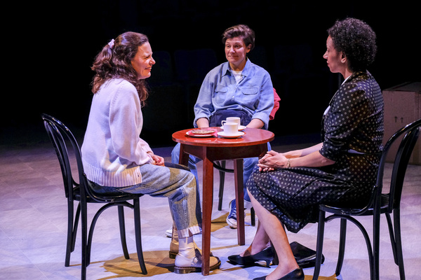 Photo Flash: First Look at DI AND VIV AND ROSE at Stephen Joseph Theatre Image