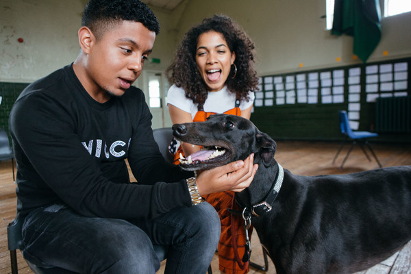 Photo Flash: In Rehearsal with NYT's THE HOST Image