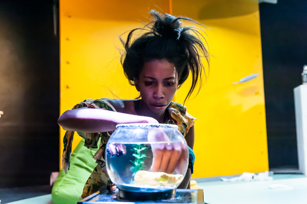 Photo Flash: BOOM Makes a Splash at Theatre503 Image