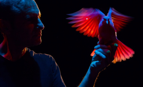 Photo Flash: Immersive Weekend of Amazement MAGICMANIA Set for Colony Theatre Image