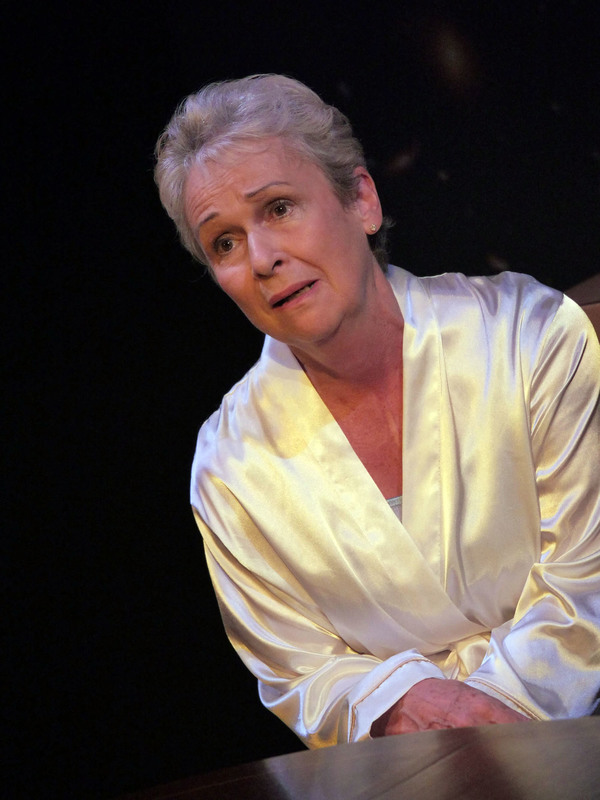 Photo Flash: First Look at REMARKABLE INVISIBLE at Theatre by the Lake Image