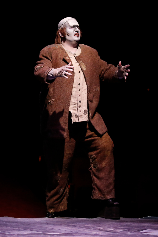Photo Flash: North Shore Music Theatre Is 'Puttin' On the Ritz' with YOUNG FRANKENSTEIN Image