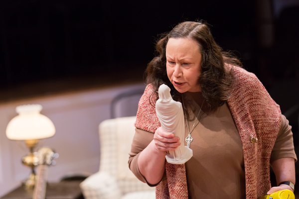 Photo Flash: Chester Theatre Company presents FOLK Image