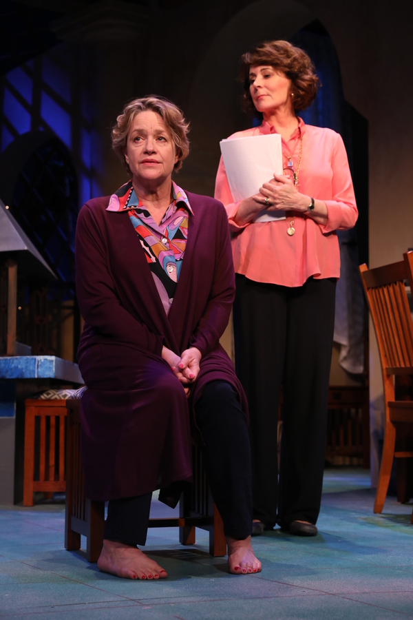 Photo Flash: First Look at Patricia Richardson in OTHER DESERT CITIES at Bucks County Playhouse Image