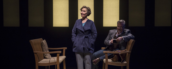 Photo Flash: Get A First Look At American Players' THE UNEXPECTED MAN Image